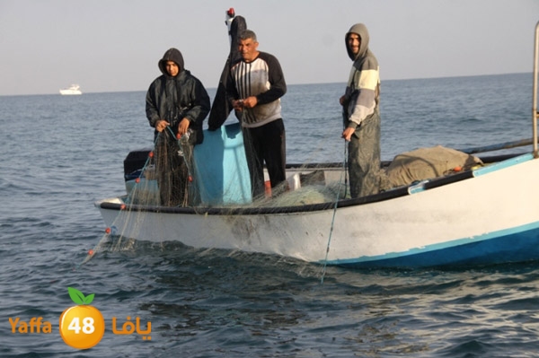 sayyadnewyaffa3 (17).JPG